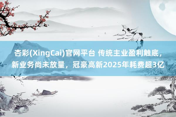 杏彩(XingCai)官网平台 传统主业盈利触底，新业务尚未放量，冠豪高新2025年耗费超3亿