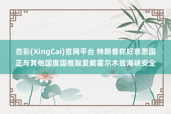 杏彩(XingCai)官网平台 特朗普称好意思国正与其他国度国推敲爱戴霍尔木兹海峡安全