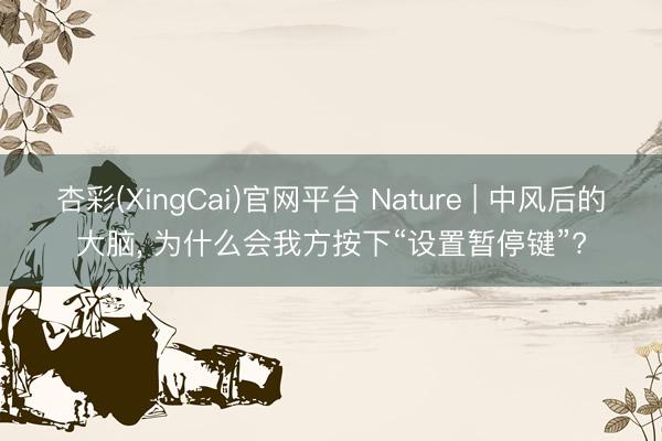 杏彩(XingCai)官网平台 Nature | 中风后的大脑， 为什么会我方按下“设置暂停键”?